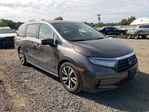 Honda Odyssey 2021