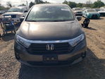 Honda Odyssey 2021
