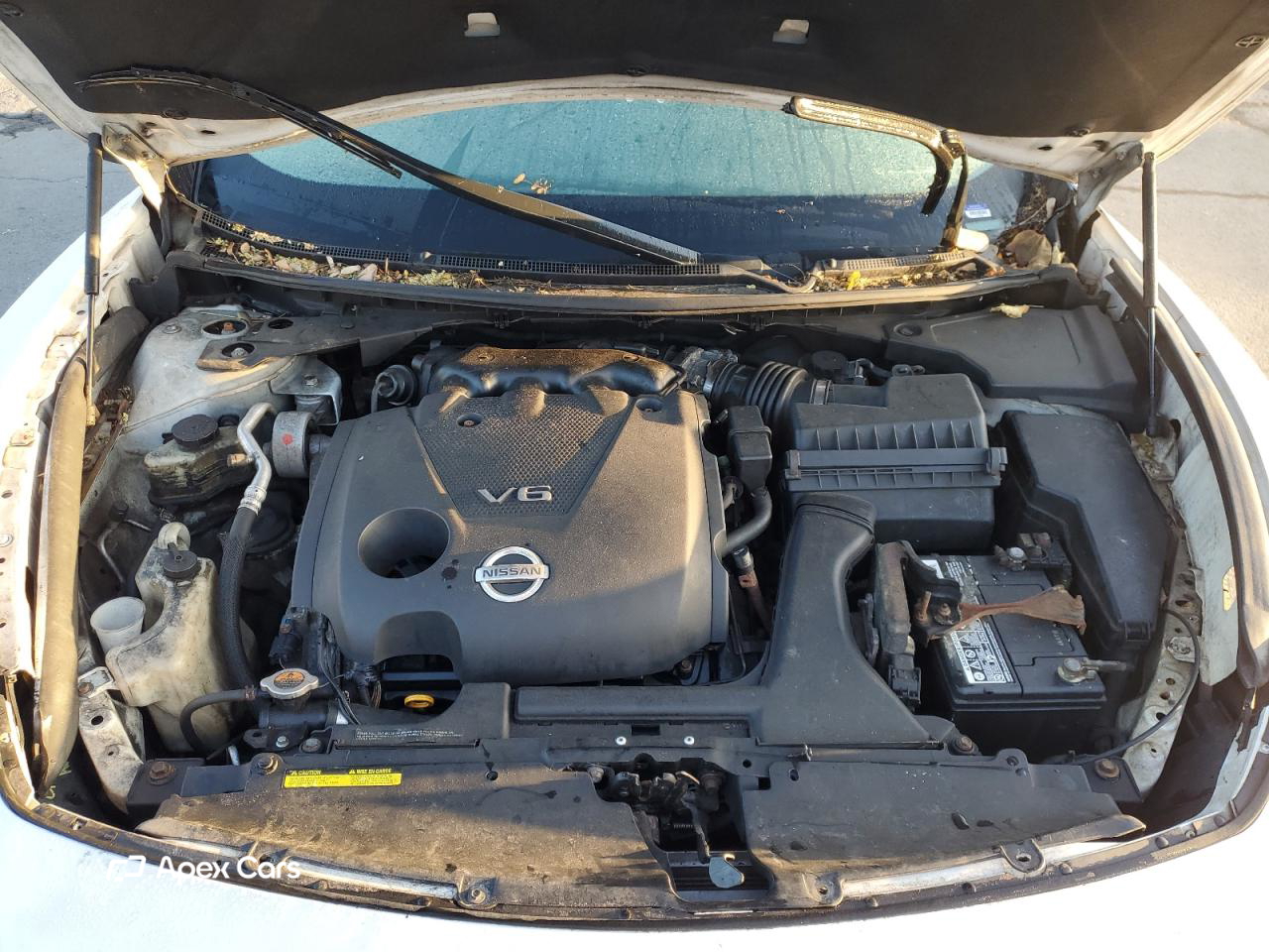 Nissan Maxima 2011