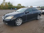 Lexus ES 2007
