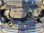 Ford Escape 2014