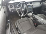 Ford Mustang 2014