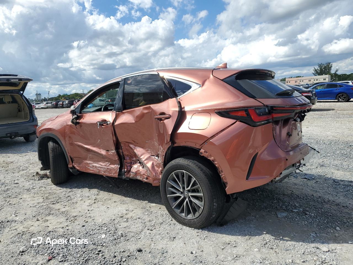 Lexus NX 2025