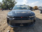 Dodge Hornet 2024