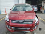 Ford Escape 2014