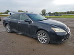Lexus ES 2007
