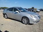 Lexus ES 2011