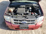 Ford Escape 2012