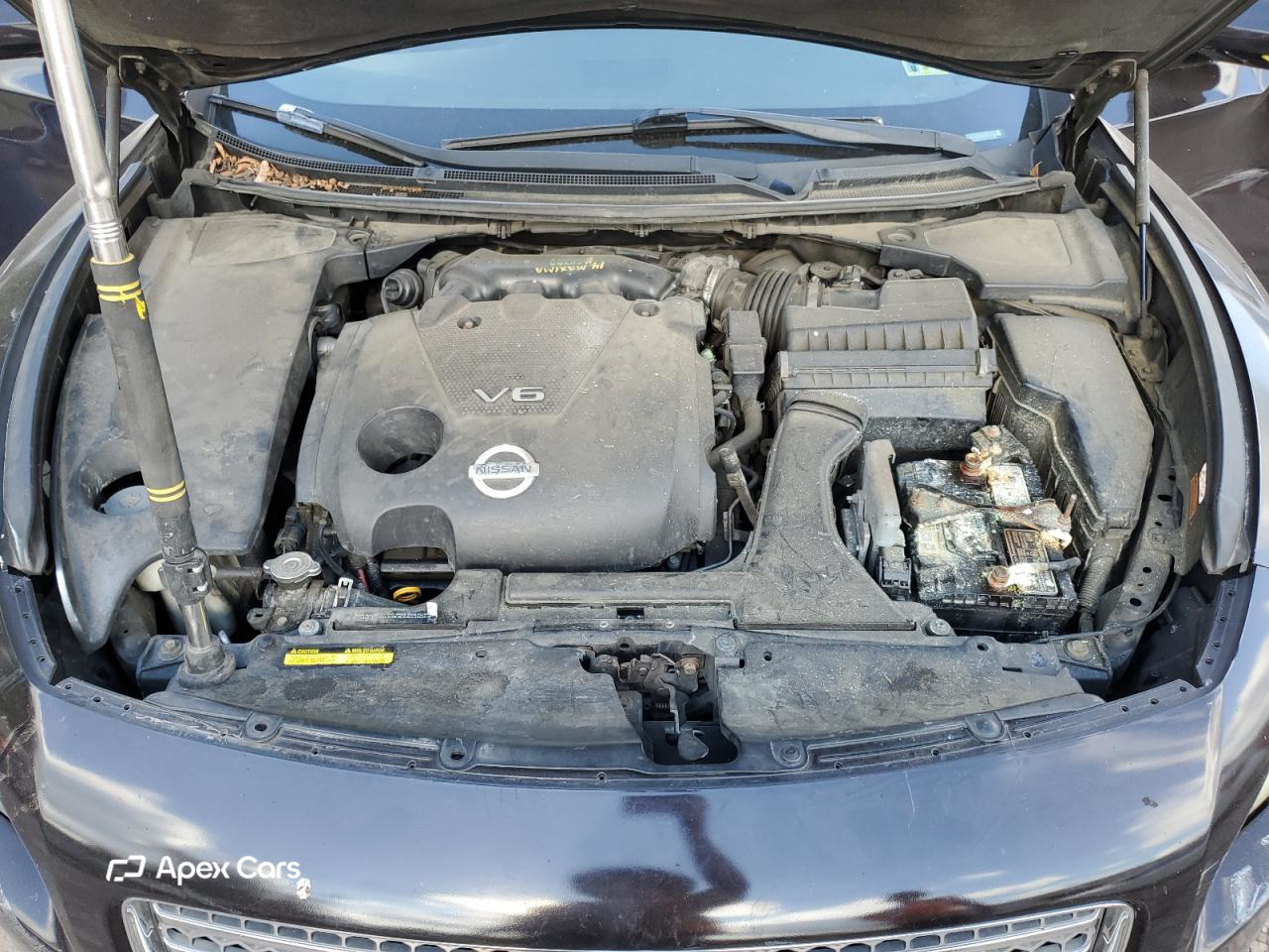 Nissan Maxima 2010