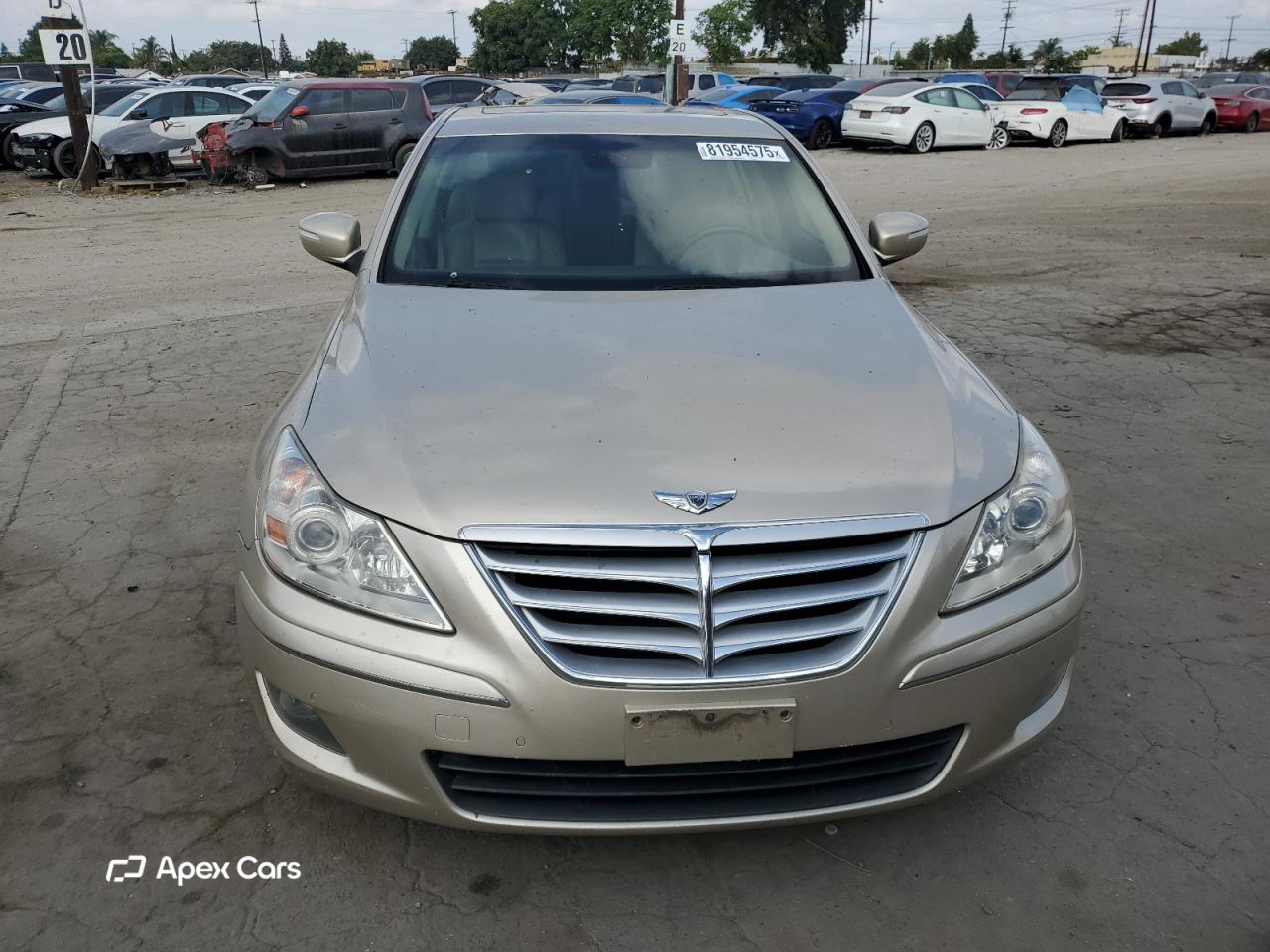 Hyundai Genesis 2009