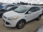 Ford Escape 2013