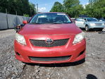 Toyota Corolla 2010