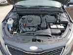 Kia Optima 2015