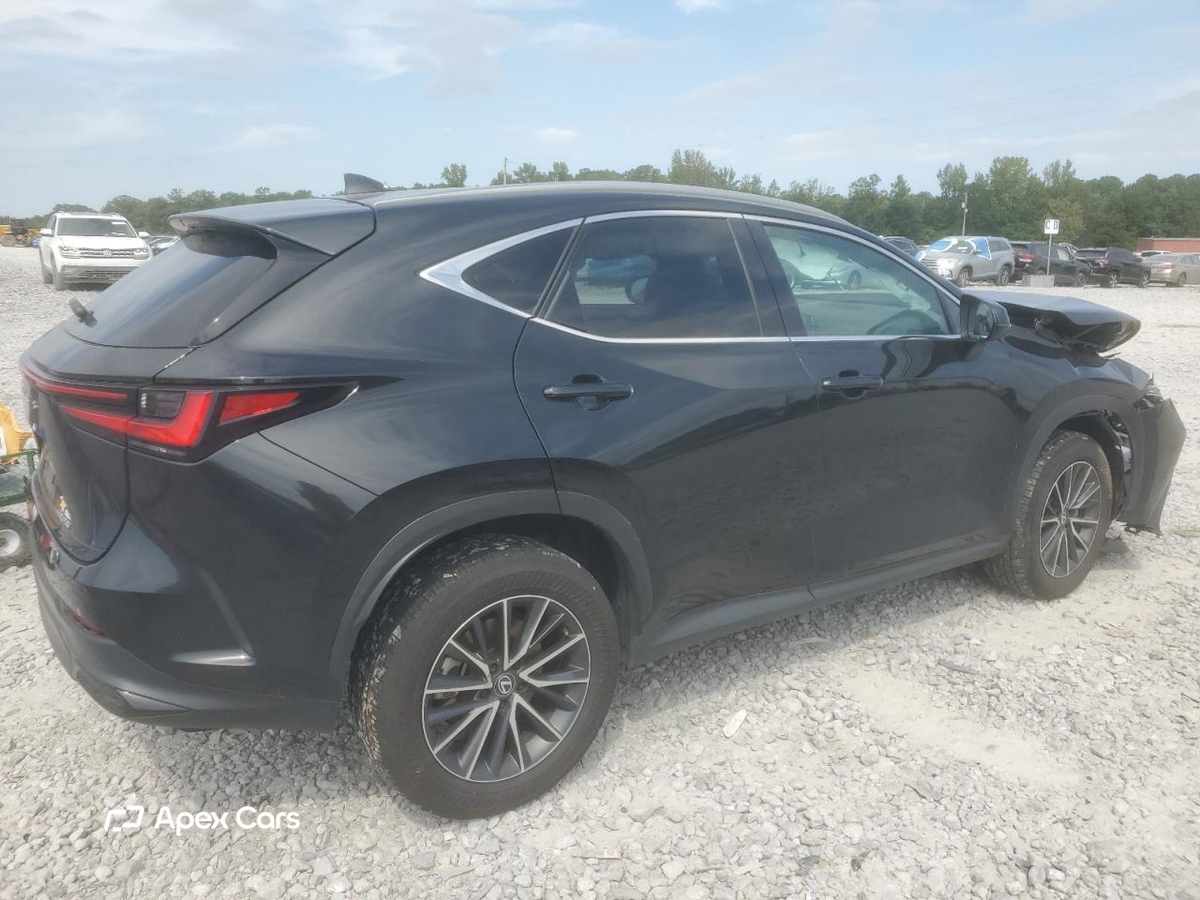 Lexus NX 2025