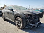 Lexus RX 2023