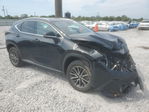 Lexus NX 2025
