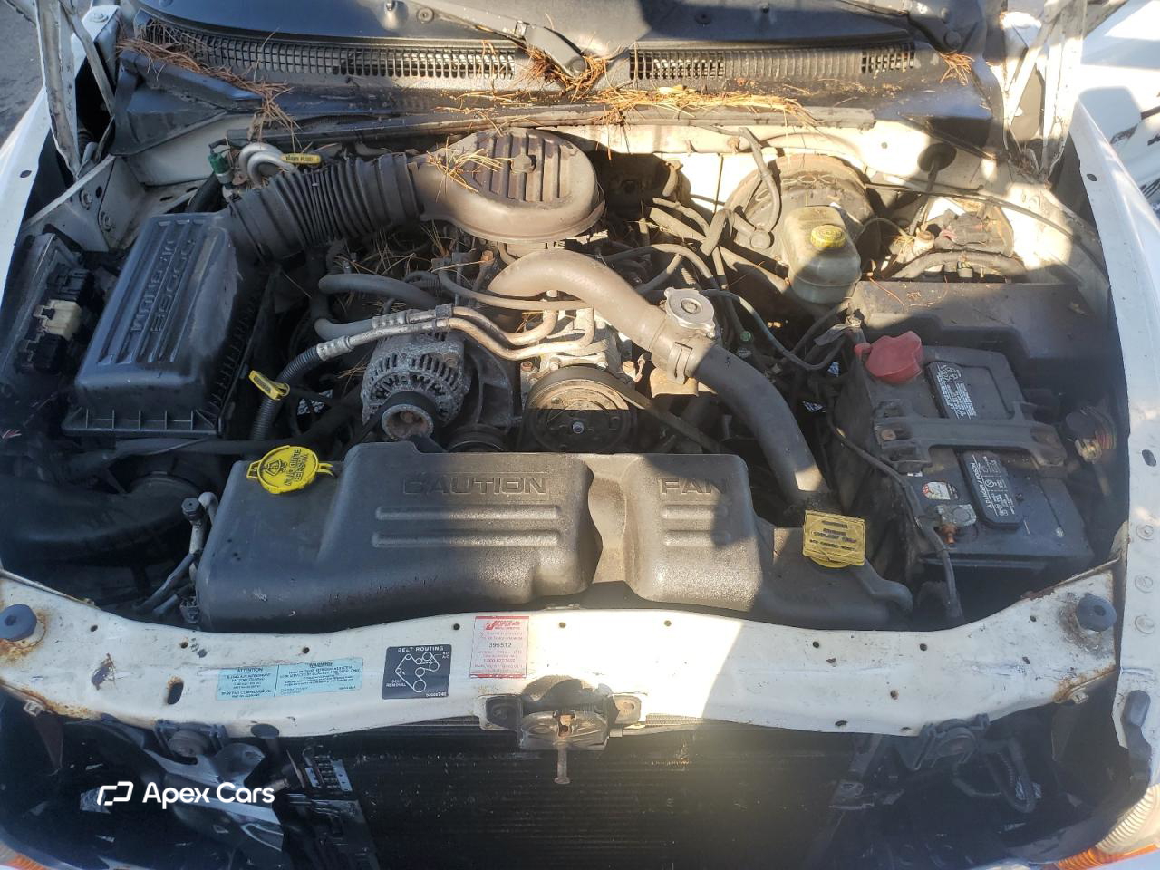 Dodge Dakota 2001