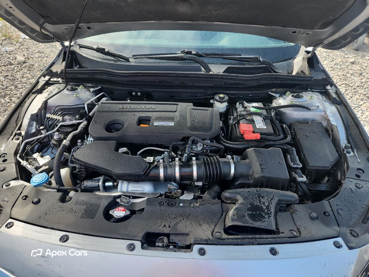 Honda Accord 2019