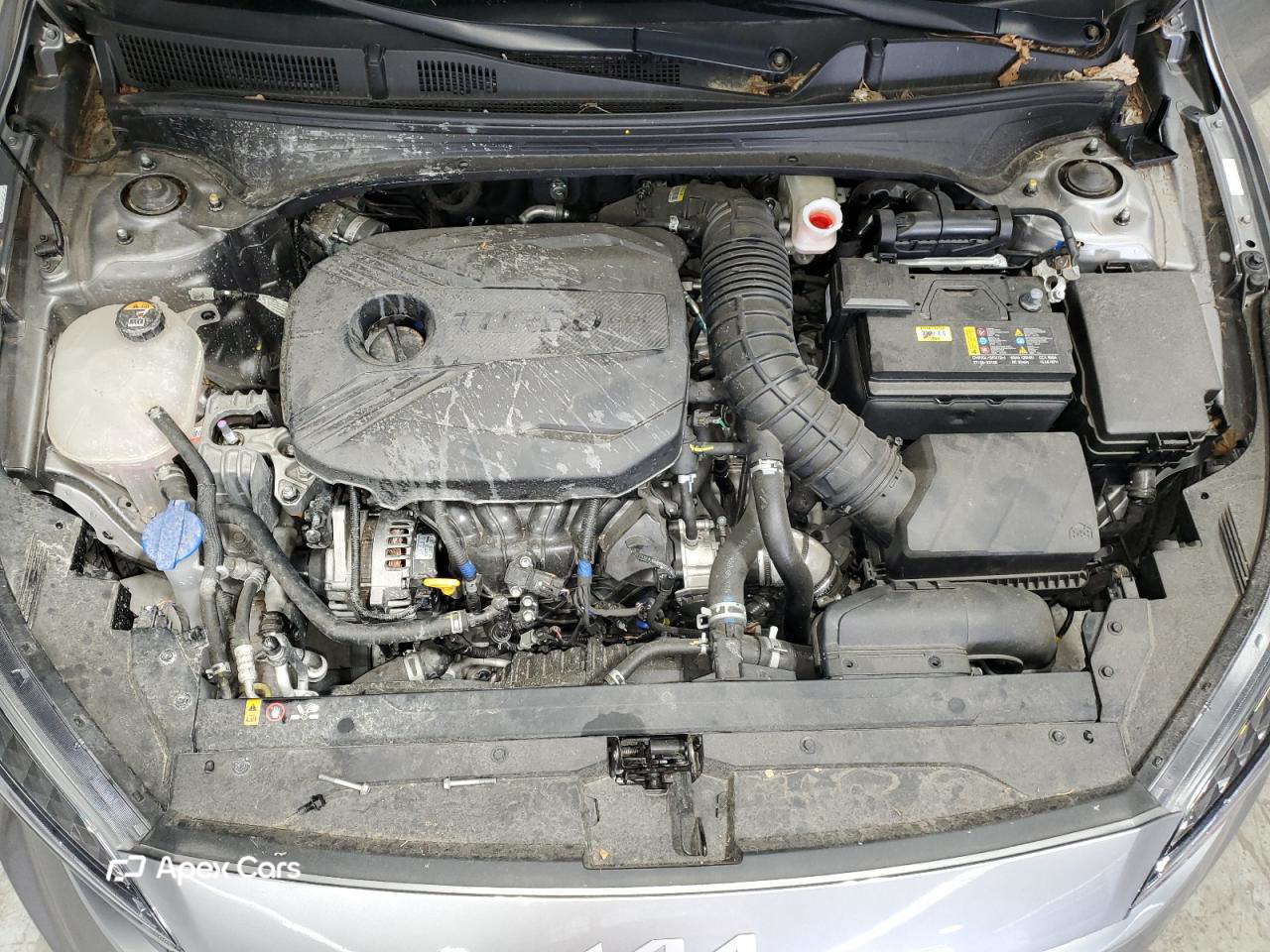 Kia Forte 2024