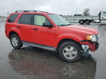 Ford Escape 2009