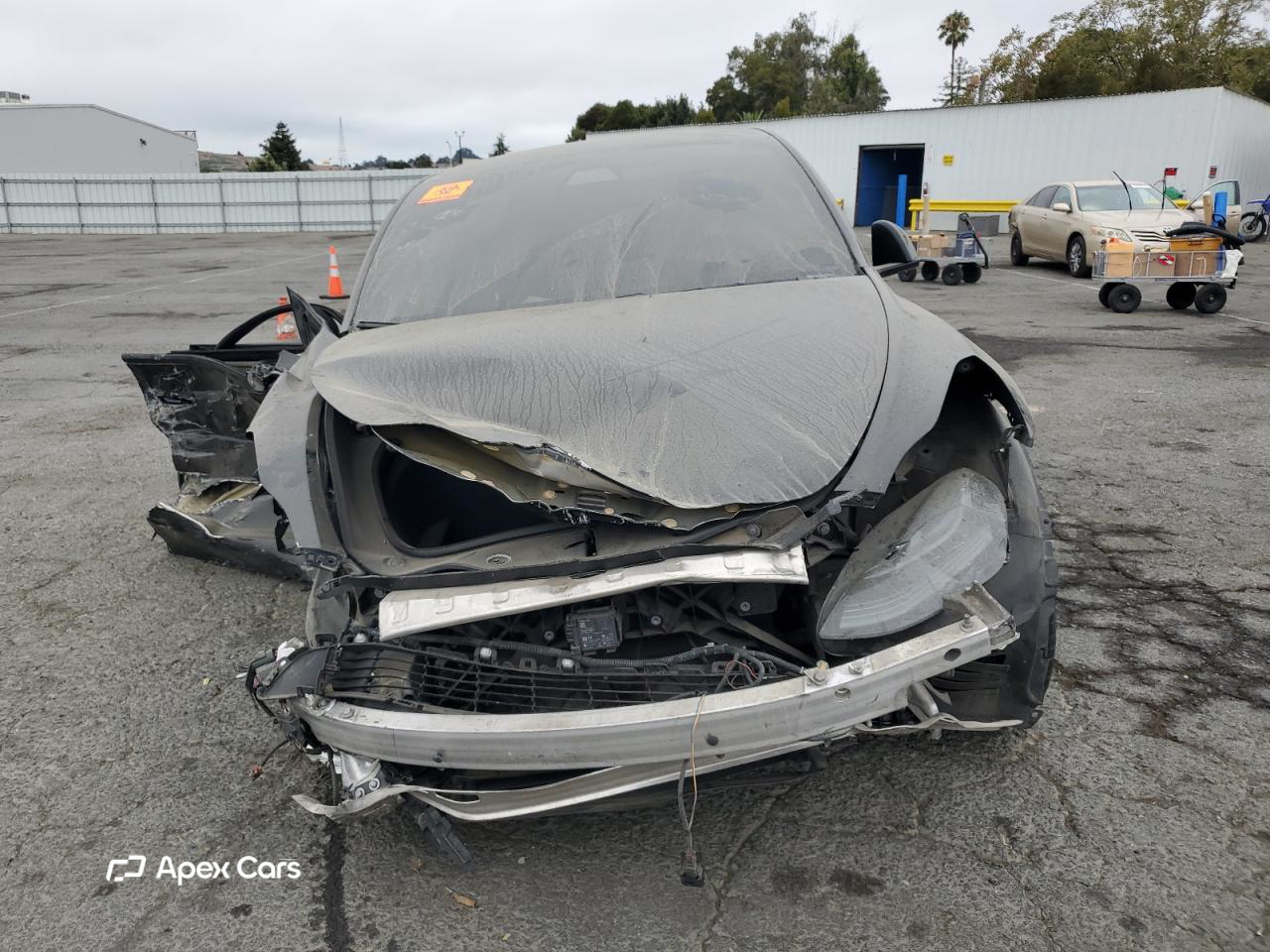 Tesla Model Y 2021