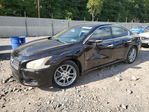 Nissan Maxima 2010