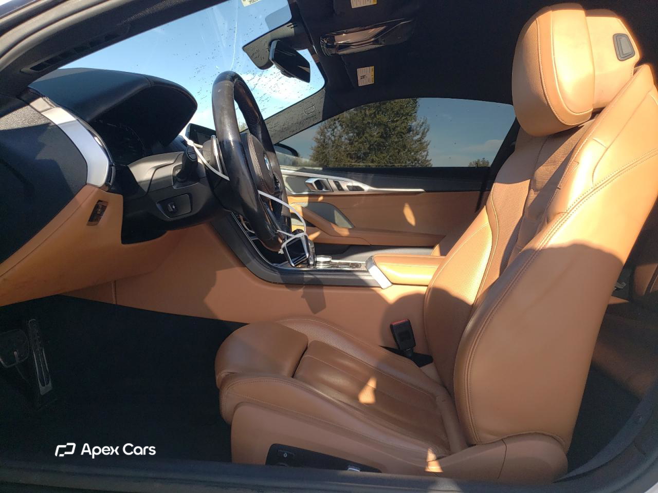 BMW M8 2019