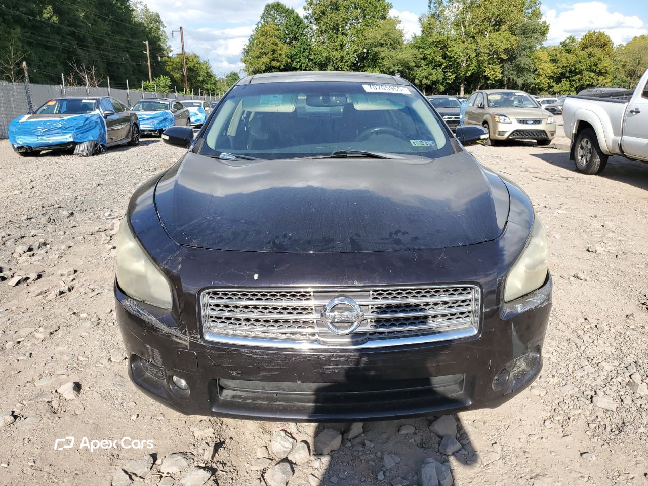 Nissan Maxima 2010