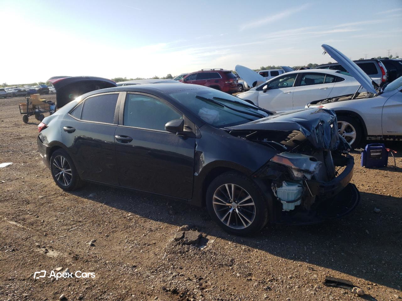 Toyota Corolla 2016