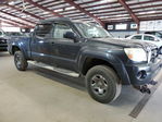 Tacoma 2005