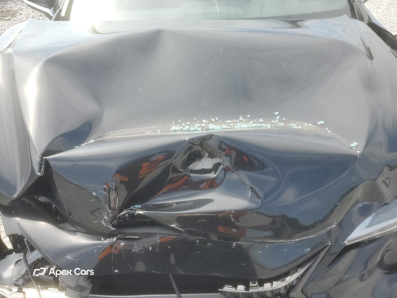 Lexus NX 2025