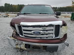 Ford F-150 2010
