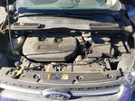 Ford Escape 2013