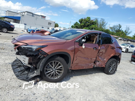 Lexus NX 2025 - Image 1 of 13