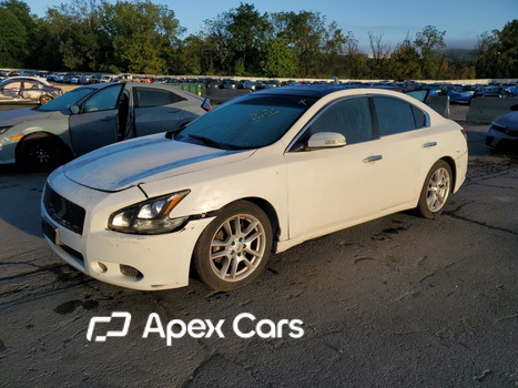 Nissan Maxima 2011 - Zdjęcie 1 z 12