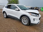 Ford Escape 2020