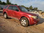 Ford Escape 2009