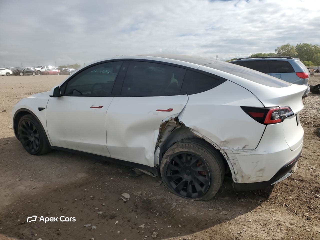 Tesla Model Y 2021