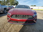 Ford Mustang 2019