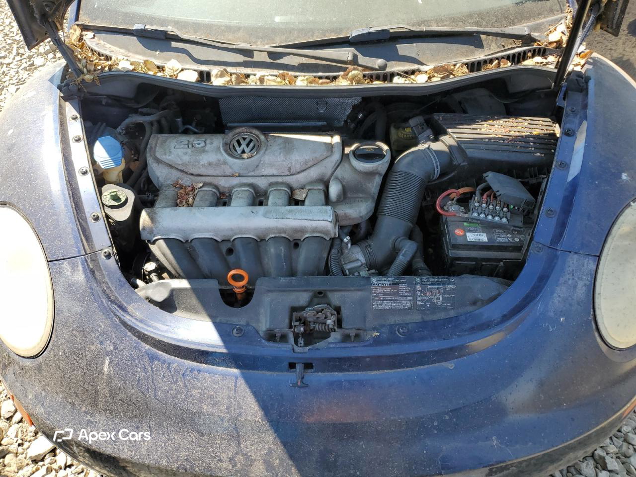 Volkswagen Beetle 2006