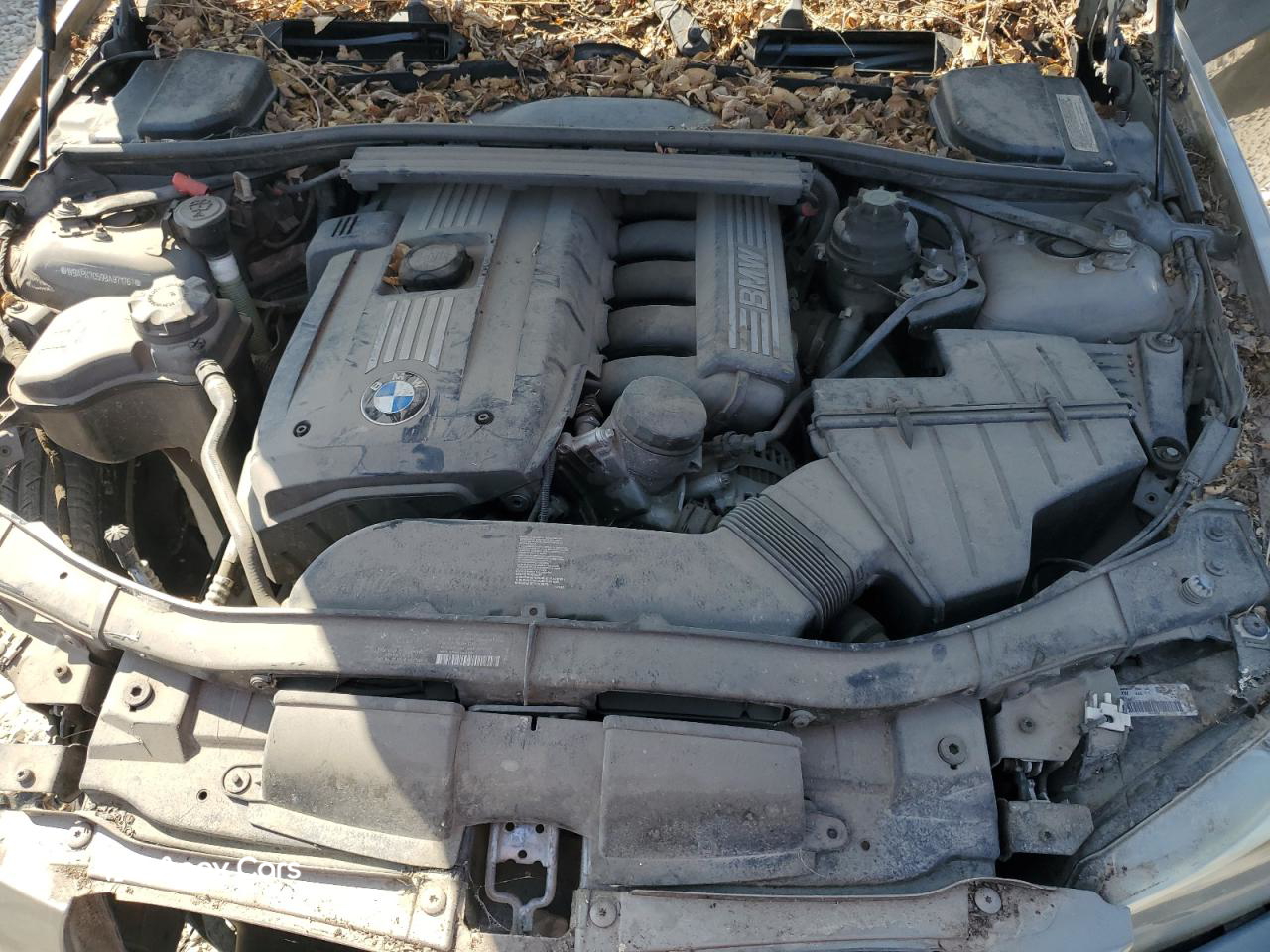 BMW Series 3 2011
