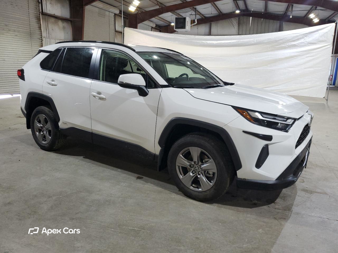 Toyota RAV 4 2025
