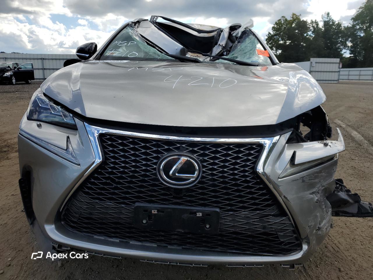 Lexus NX 2017