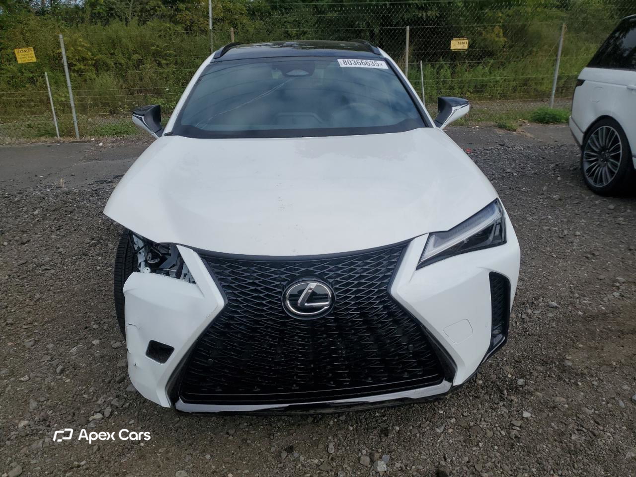 Lexus UX 2025