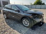 Ford Escape 2020