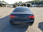 Audi S5 2010