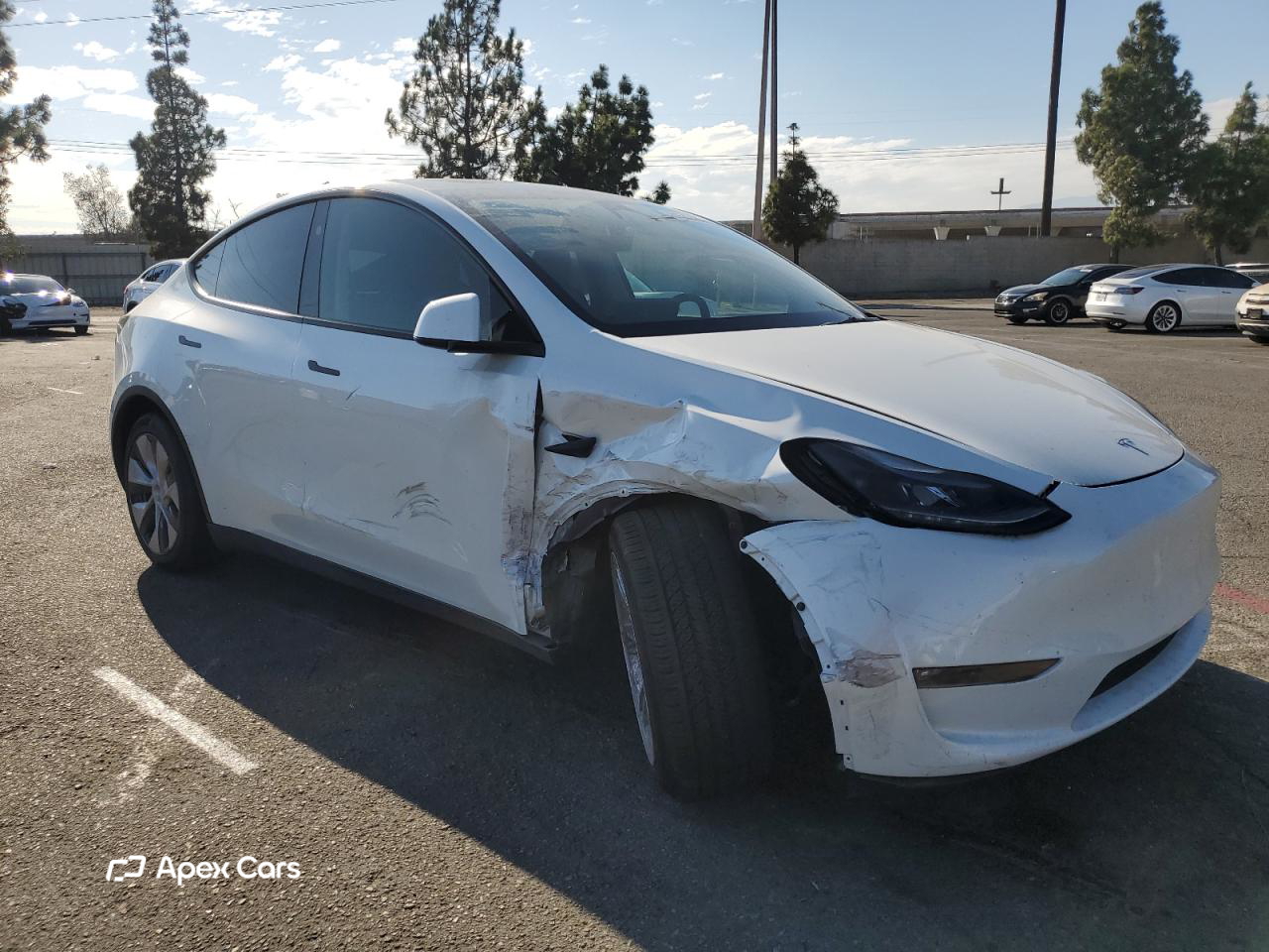 Tesla Model Y 2023