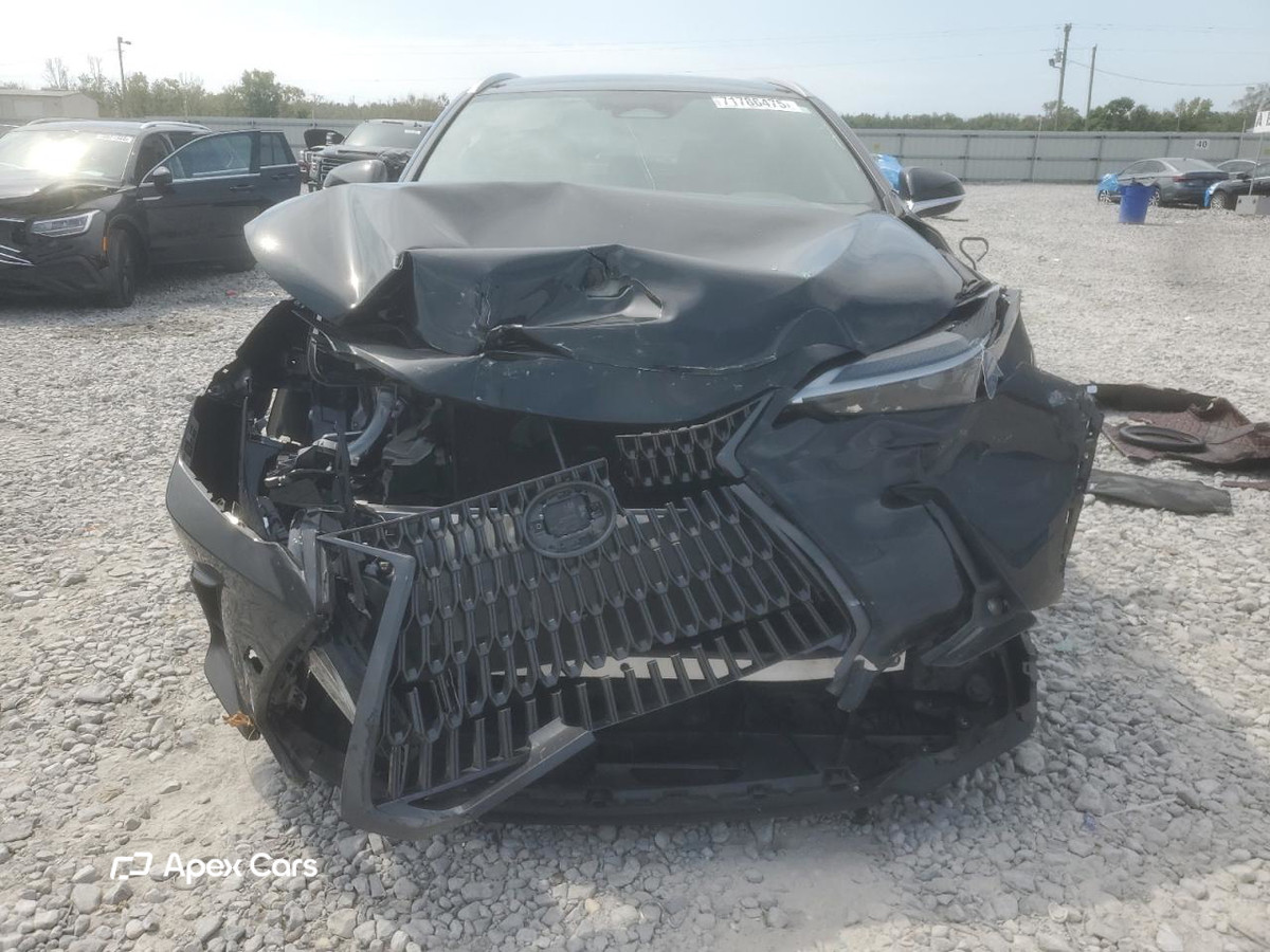 Lexus NX 2025