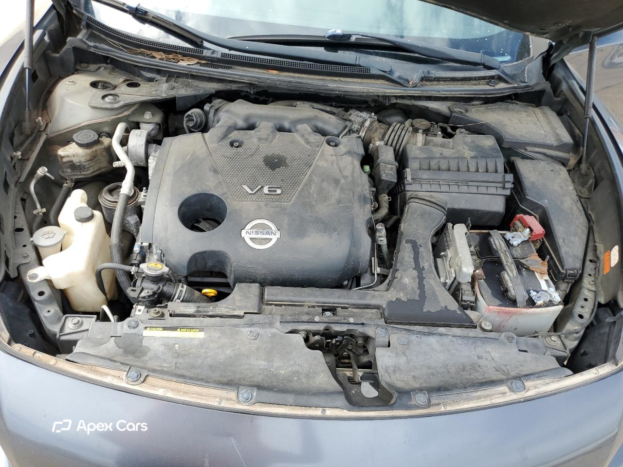 Nissan Maxima 2012