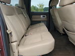 Ford F-150 2010